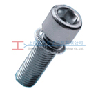 ʷ�ZSCHNORR UV�͉|Ȧ