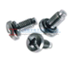 ʷ�Zschnorr��ȫ�|Ȧ