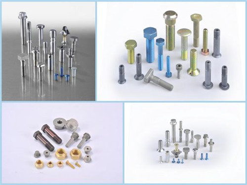 ��o�̼��DƬչʾ